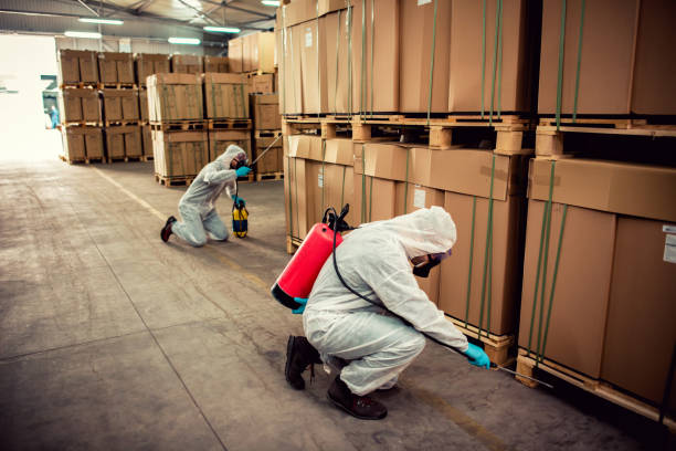 Best Flea Control Services  in Richmond West, FL