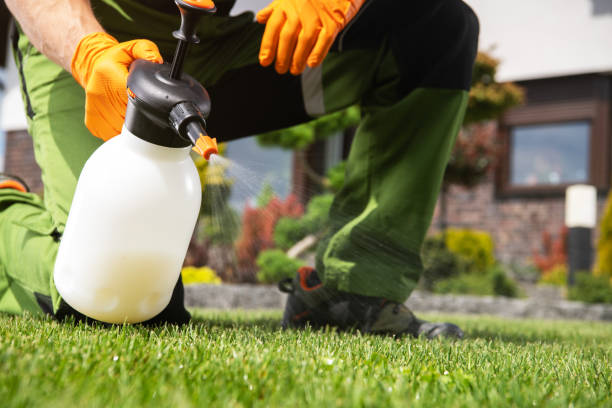 Best Local Pest Control Services  in Richmond West, FL