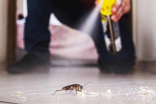 Best Best Pest Control Companies  in Richmond West, FL