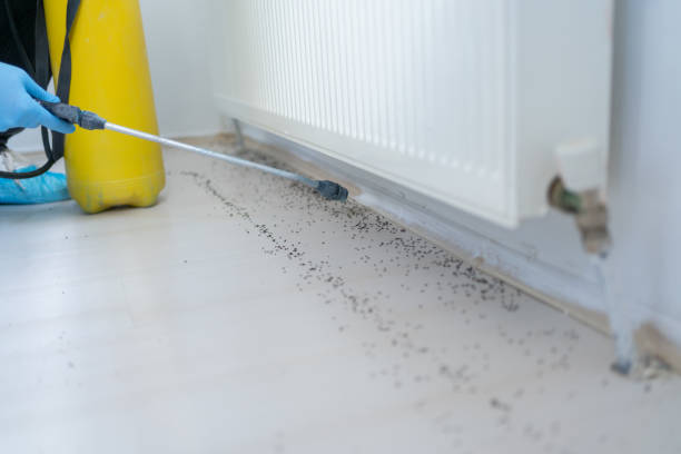 Reliable Richmond West, FL Pest Control Solutions